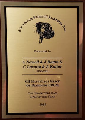 Gracie Top Producing Dam of the Year!